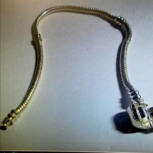 Silver Snake Chain Bracelet